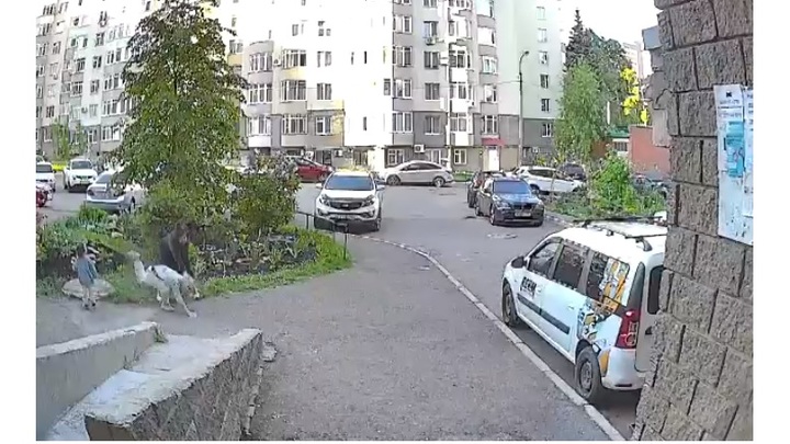 Женщина в хиджабе напала на жительницу Уфы на глазах у её ребенка