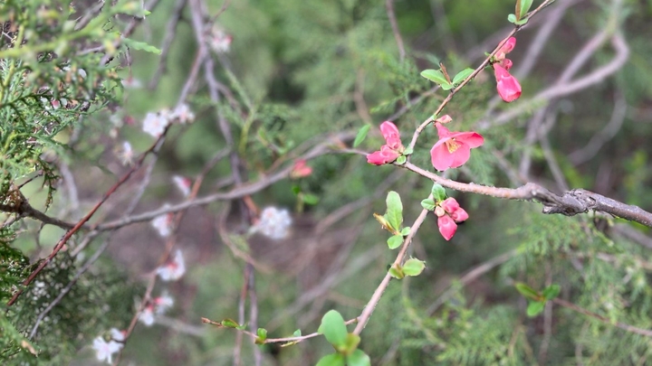 От +23 до +25°C. Жителей Краснодарского края ожидает необычайно тёплый апрель