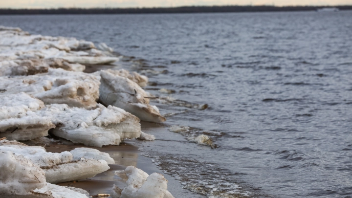 Фестиваль Тепло Севера в Архангельске: мастер-классы, игры, лекции