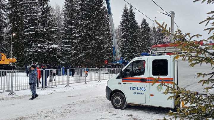 Стали известны параметры главной елки России: возраст и высота