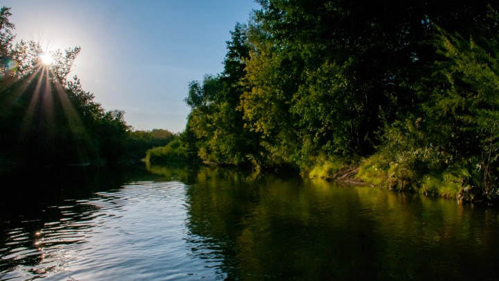 Доставать солнцезащитный крем или зонты? Какой будет погода в России на новой неделе