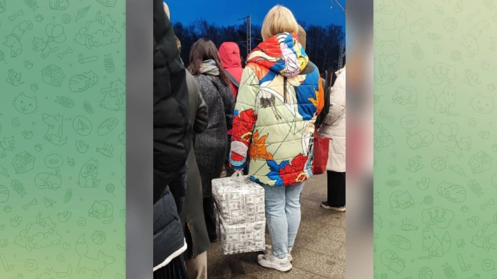 Женщина с сумкой долларов в Балашихе стала героиней мемов