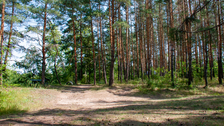 Дети из Херсонщины отправились в лагерь на Валдай