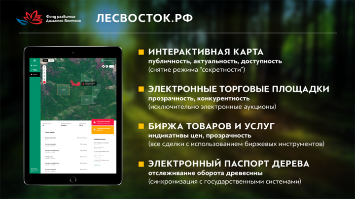 В Забайкалье в пилотном режиме внедрят систему лесного надзора