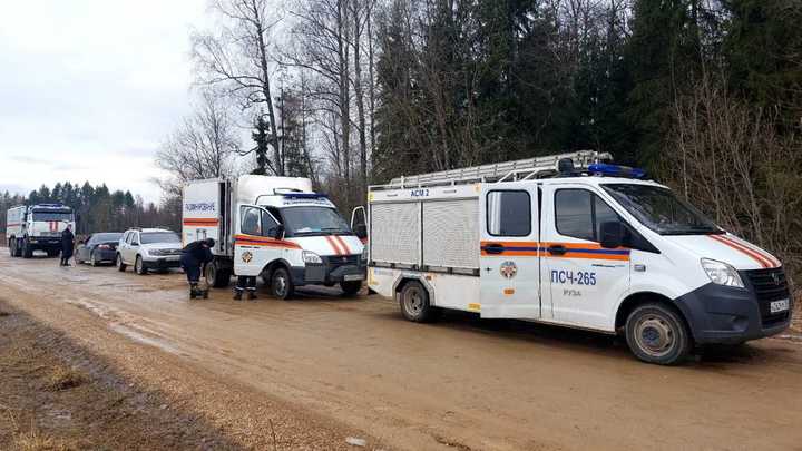В подмосковном лесу нашли две гранаты