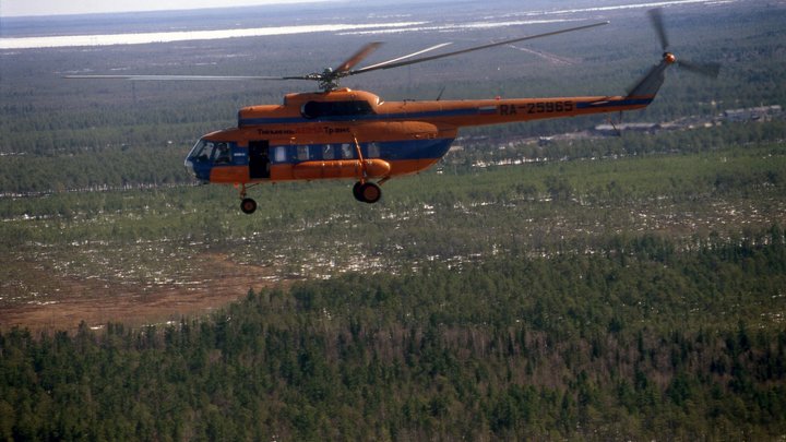 В Ленобласти пироман ранил полицейского и скрылся в лесу
