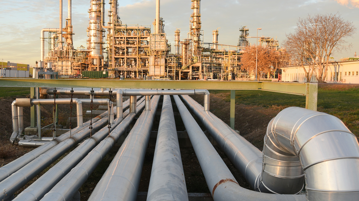 Поляки забыли про гордость и обратились с просьбой: Что ответит Россия?