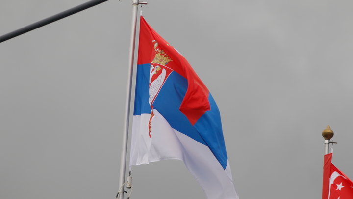 Власти Сербии совершили ошибку. Сербский народ применил силу