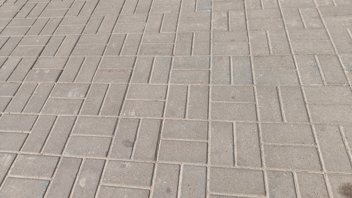 В Перми в новом зоопарке началось благоустройство территории