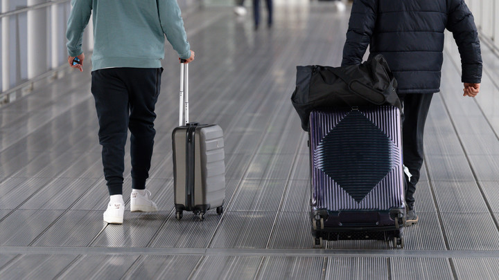 Все чемоданы - в уголок: В аэропорту Внуково произошёл сбой