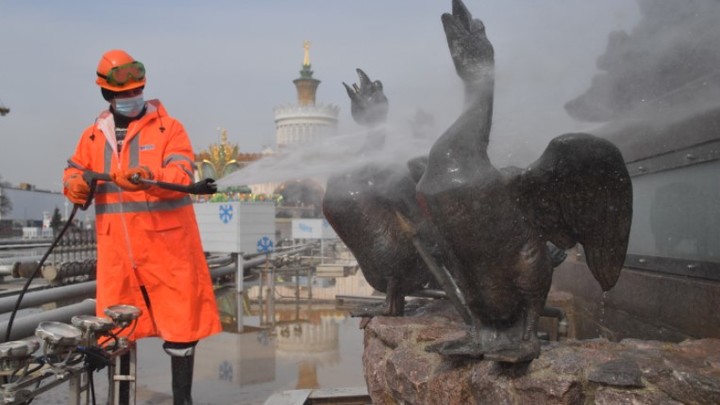 Из Китая идёт новый вирус? В КНР человек впервые заболел птичьим гриппом H3N8