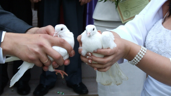 Сколько стоит выйти замуж? Свадьбы в Краснодаре обходятся дороже, чем в среднем по России
