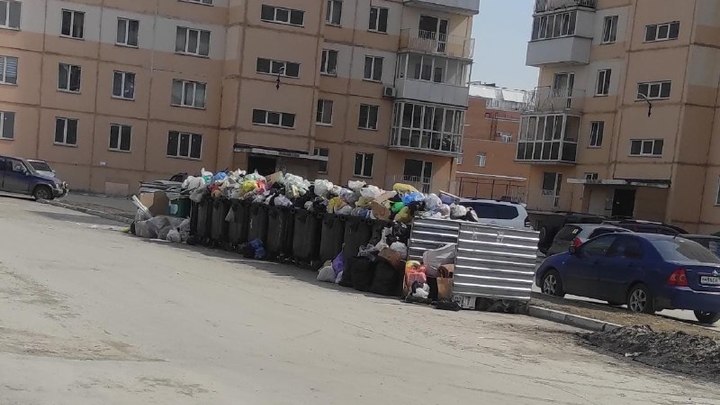 В Новосибирске из-за забастовки мусорные баки оказались переполнены