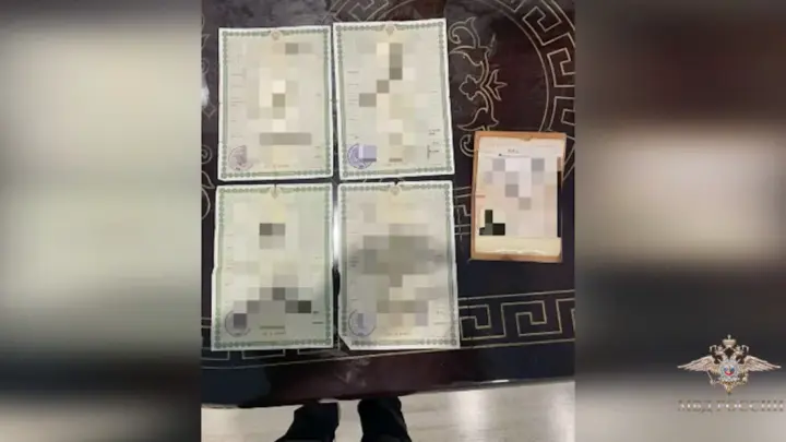 Преступники получили 250 млн рублей средств маткапитала за 600 несуществующих детей