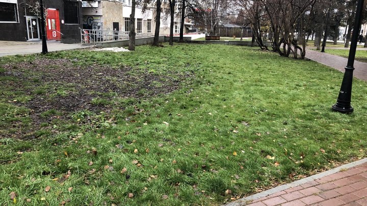 Зеленая-зеленая трава: в Челябинск снова приходит осень