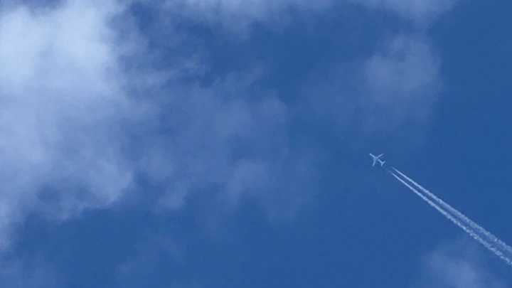 Около 50 граждан России эвакуировали из Газы в Иорданию