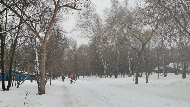 Ненадолго прикрыло грязь: 3 апреля в Новосибирске начался снегопад