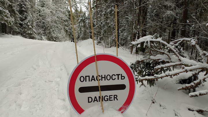 Сотни людей попали в снежный плен под Ростовом: Что известно на данный момент