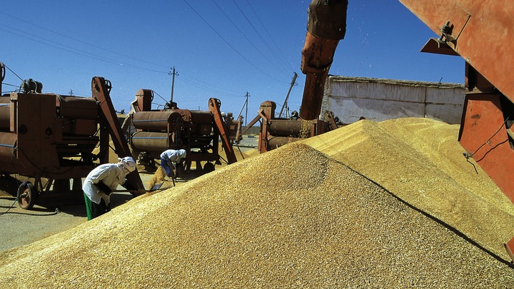 Порты закрыты, зерна нет: На Западе бьют тревогу из-за поставок