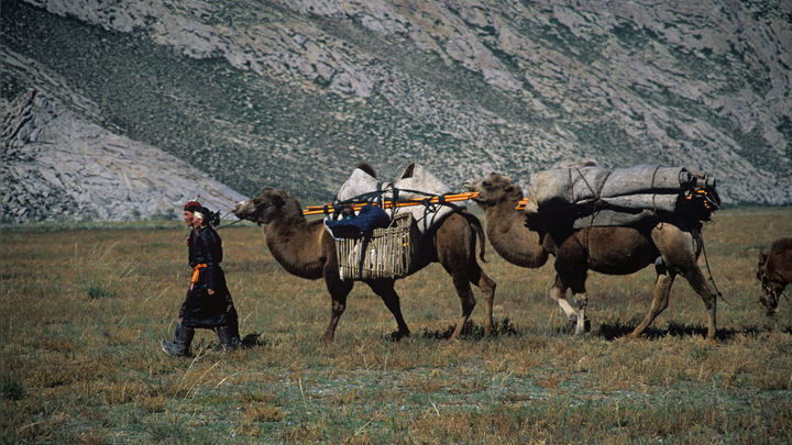 Чай с пельменями и тотальное бездорожье: Три загадки Монголии, о которых вы не знали