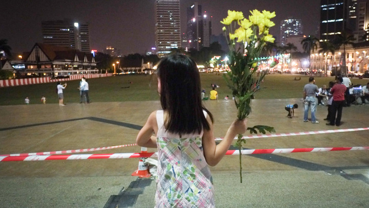 Спецоперация с двумя вертолётами: Как голландцы готовились похитить человека по делу MH17