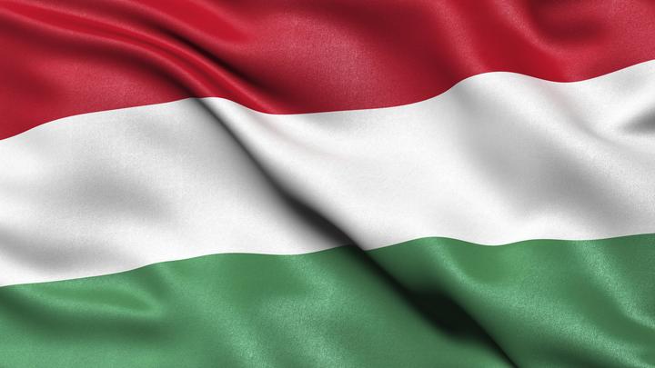 Стала известна причина отставки президента Венгрии Новак