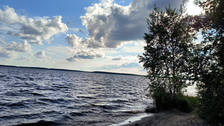 Мигрант надругался над девочкой в Подмосковье, а после всплыл позорный факт