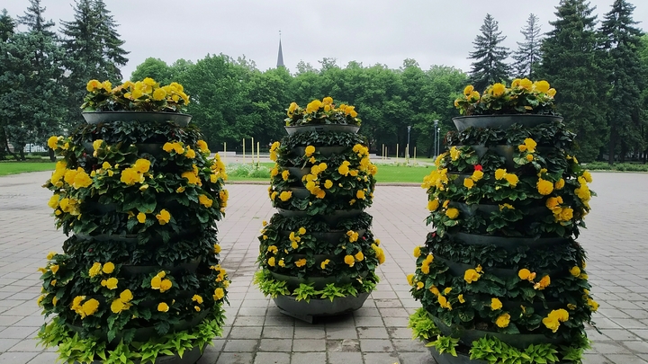 Во Владимире на 300 тысяч рублей закупят 6 вазонов для цветов