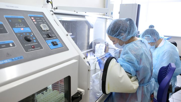 Вундеркинд помог маме, а заодно и всем медикам: Его ноу-хау упростило режим карантина