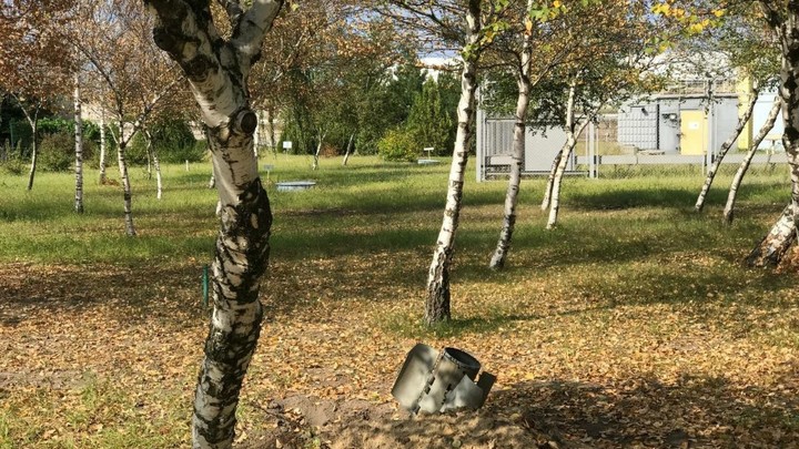 ВСУ обстреляли Донецк: Дерево спасло многоэтажку от прямого попадания снаряда