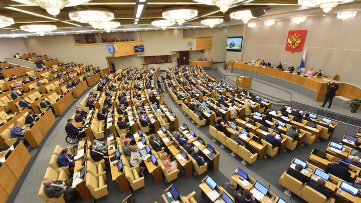 Защита России от санкций в 9 законах: вплоть до брата национализации