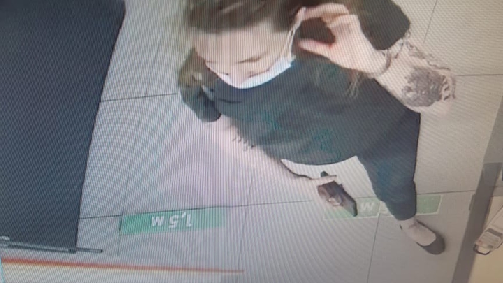 СК опубликовал видео с пропавшей в Нижегородской области американкой