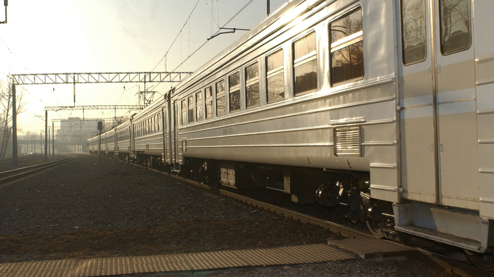 Невероятное приключение опоздавшего на поезд той-терьера в Канске