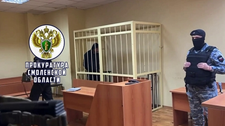 Прокуратура раскрыла детали похищения девочки в Смоленске и ареста обвиняемых