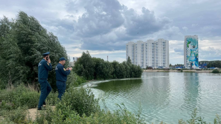 В Новосибирске на озере в Юго-Западном жилмассиве нашли странные разводы
