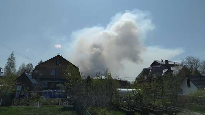 Около новосибирского аэропорта Толмачёво начался ландшафтный пожар