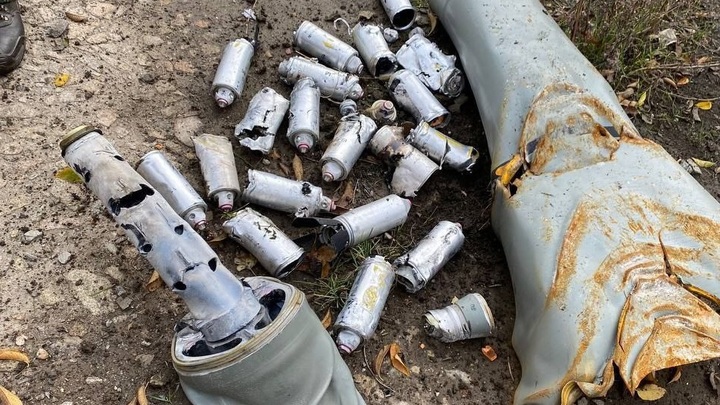 Бойцы Росгвардии обезвредили взрывоопасные боеприпасы в Запорожской области