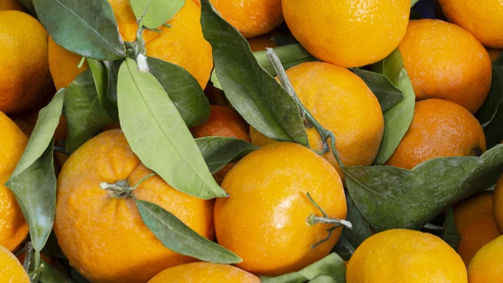 В эту субботу в Краснодаре открылись 12 ярмарок выходного дня