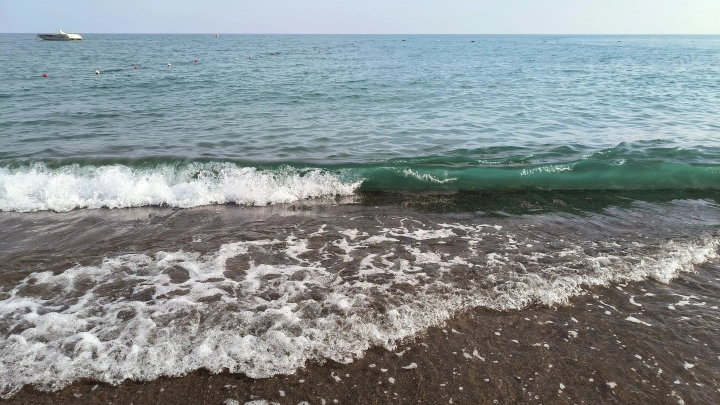 Очень графичное зрелище: отдыхающие на пляже в Великобритании обнаружили ужасную находку