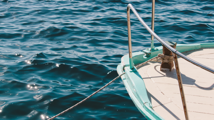 Рыбаки из США поймали меч-рыбу весом 226 килограммов