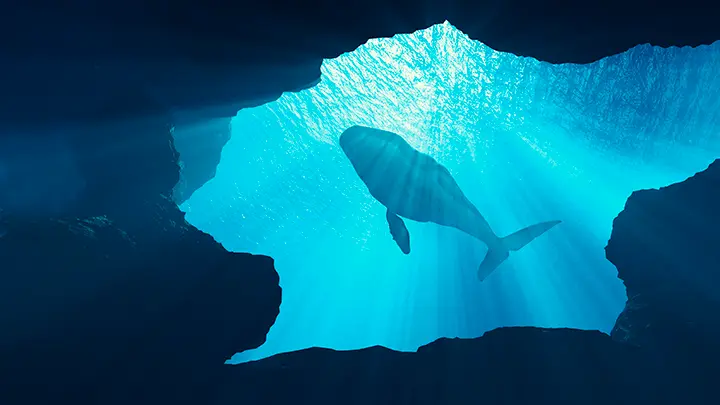 Ведёт себя необычно: Учёных озадачила таинственная дыра в океане