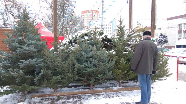 В Ростове заработали ёлочные базары. Но их вдвое меньше, чем рассчитывали власти