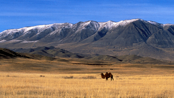 В Тыве пропала 2-летняя девочка