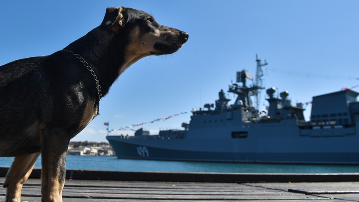 Возвращать так возвращать: Сатановский сделал намёк на крымский путь Украины