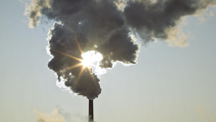 PLOS Climate: Изменение климата может сократить продолжительность жизни на полгода