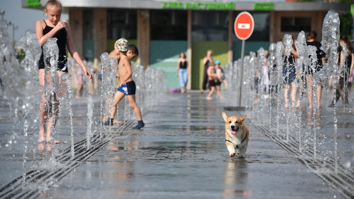 Будет жарко: в выходные на Кубани воздух прогреется до +38