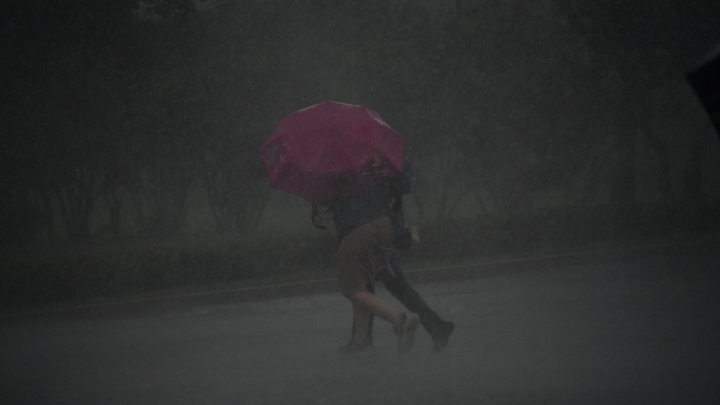 Воды уже по пояс: В Ялте за сутки выпала трёхмесячная норма осадков