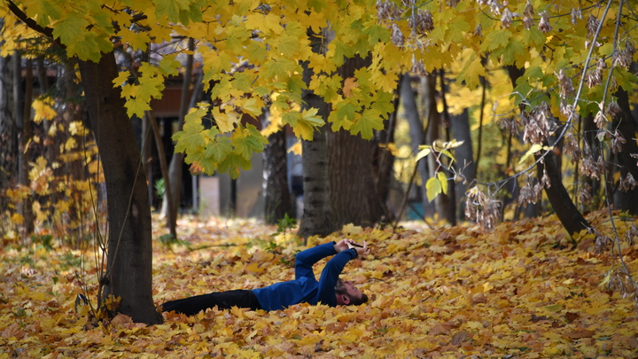 Народные приметы на Покров Пресвятой Богородицы: какой будет зима во Владимирской области