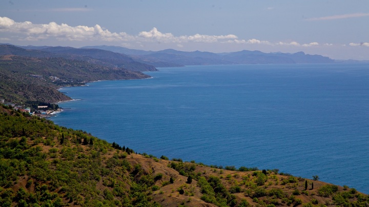 Зелёная вода от Одессы пойдёт к берегам Турции и Болгарии. Учёные сообщили о вихрях