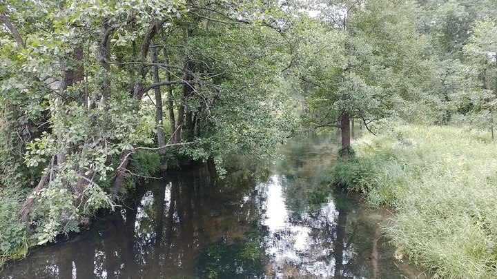 Во Владимирской области в этом году расчистят четыре малых реки, а в следующем Клязьму